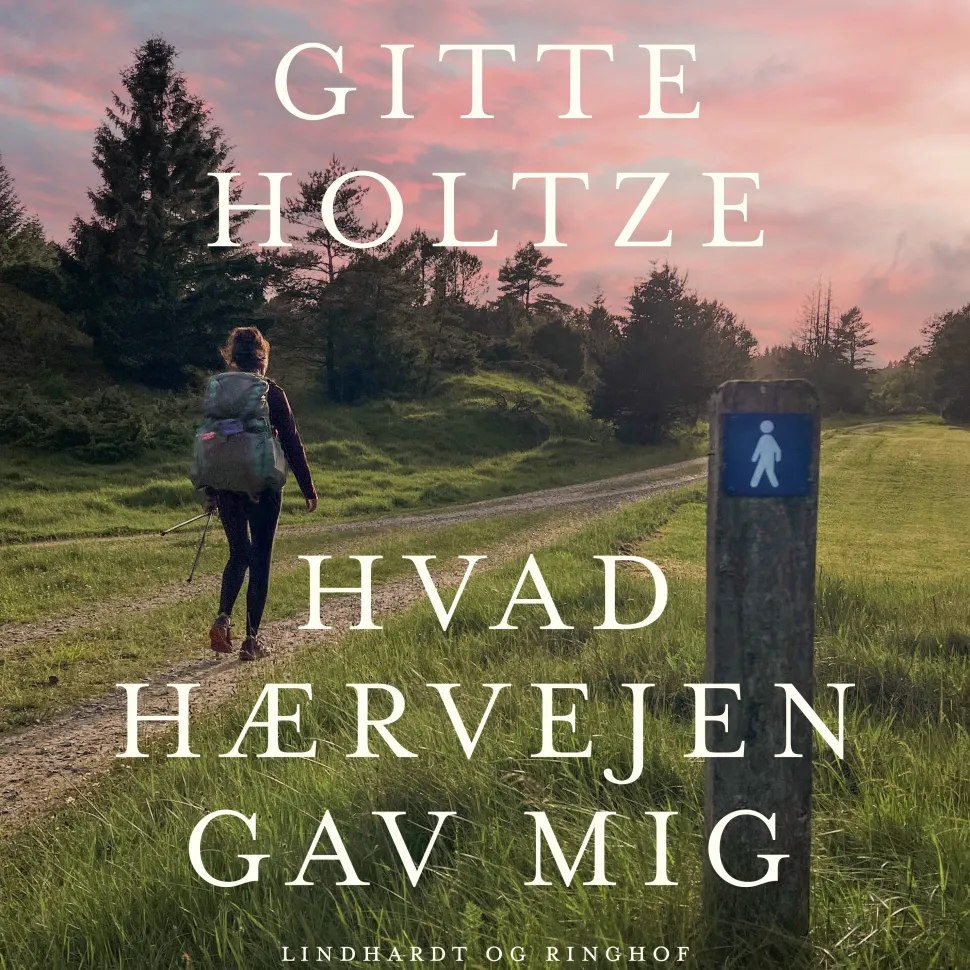Hvad Hærvejen gav mig (Lydbog, zip_mp3, Dansk) af Gitte Holtze