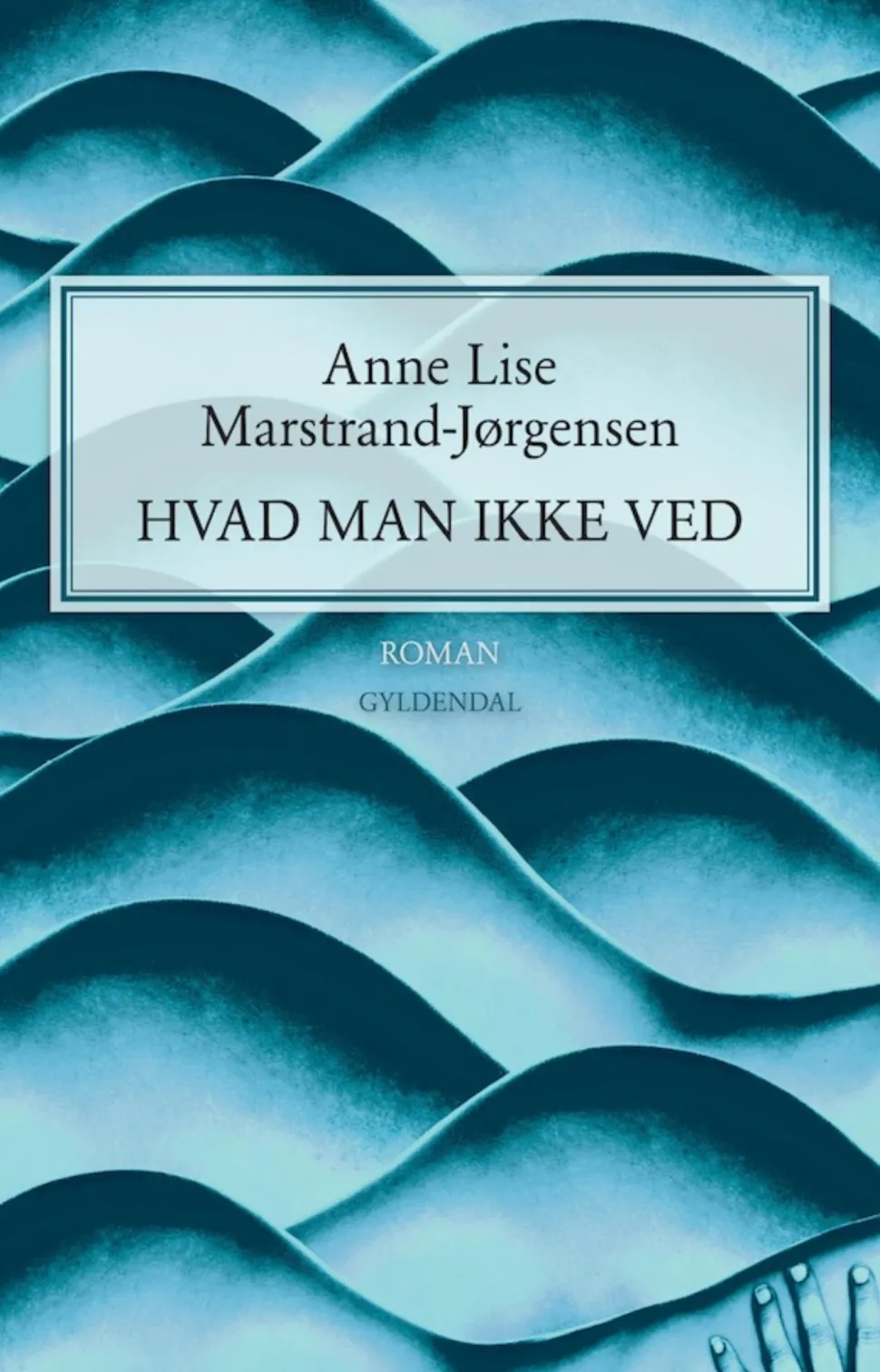 Hvad man ikke ved (Ebog, epub, Dansk) af Anne Lise Marstrand-Jørgensen