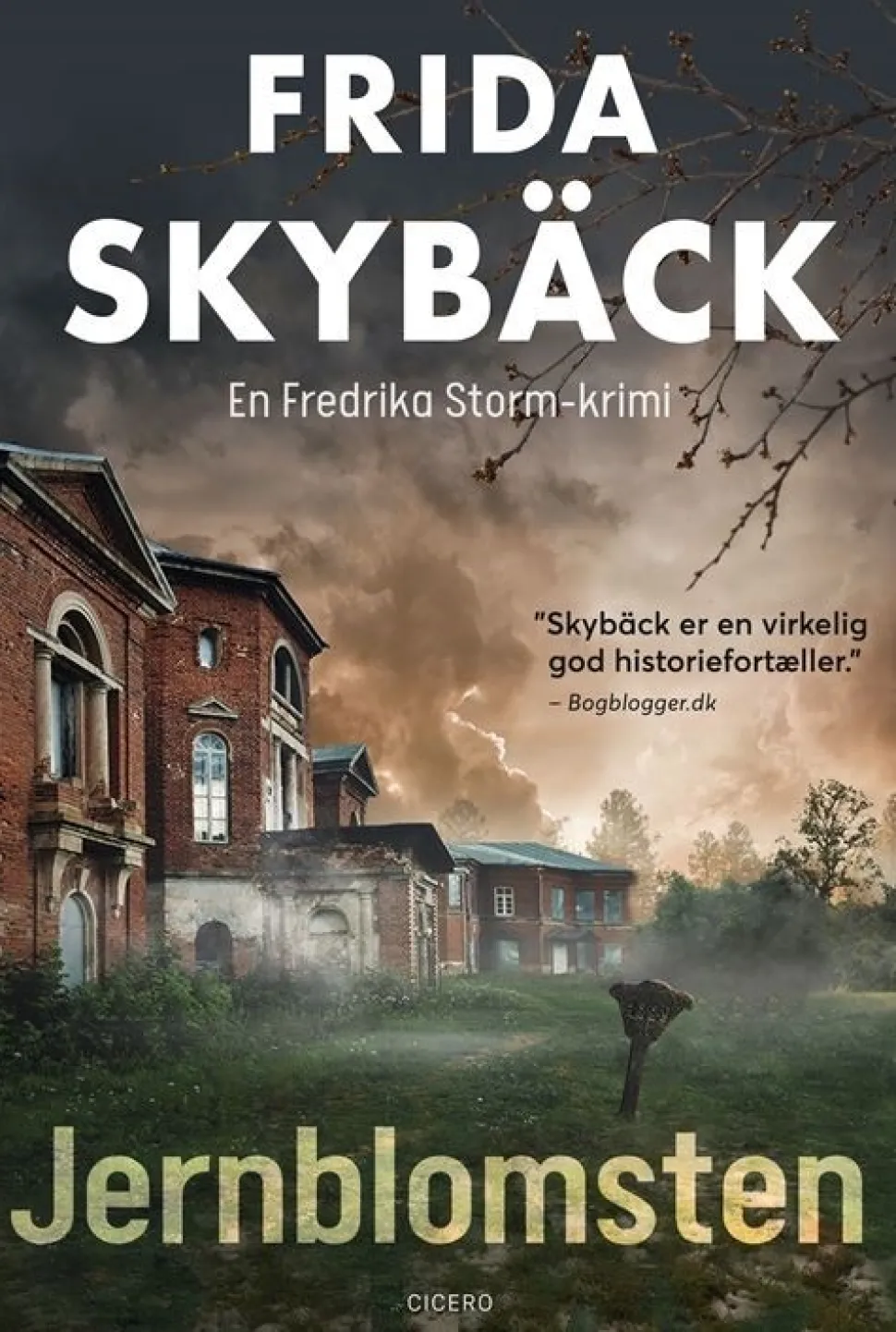 Jernblomsten (Bog, Hæftet, Dansk) af Frida Skybäck