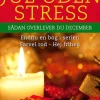 Jul uden stress: Sådan overlever du december (Ebog, epub, Dansk) af Lena Bentsen