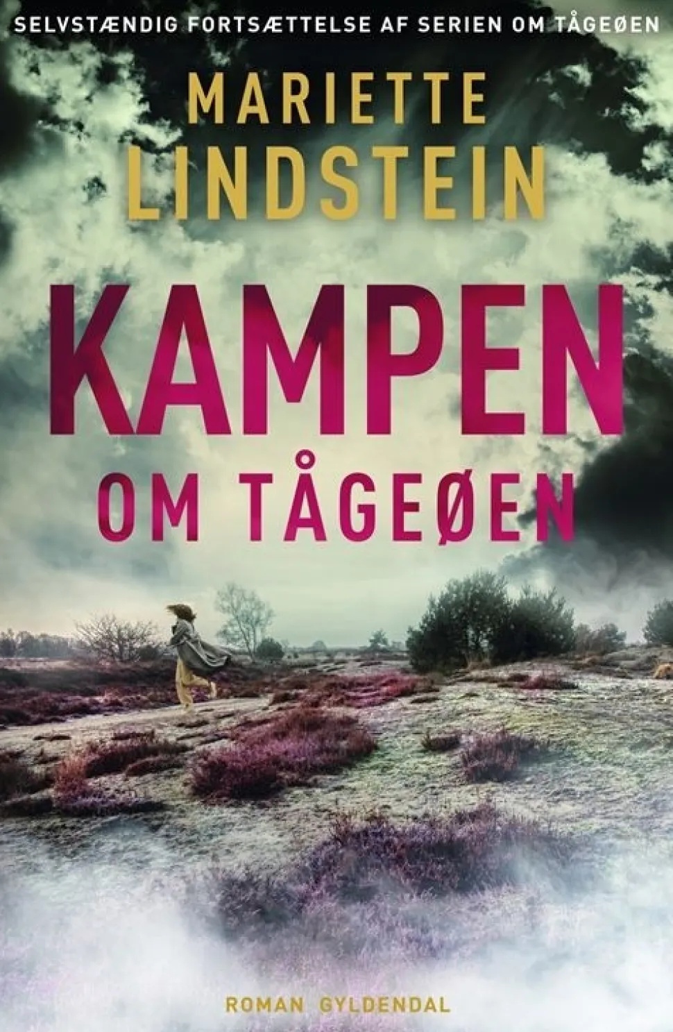 Kampen om Tågeøen (Bog, Hæftet, Dansk) af Mariette Lindstein