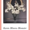 Karen Blixens Blomster: Natur og kunst på Rungstedlund (Bog, Hæftet, Dansk) af Lisbeth Hertel