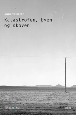 Katastrofen, byen og skoven (Ebog, epub, Dansk) af Anne Vestberg