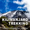 Kilimanjaro trekking: Fysisk forberedelse, rejsetips og en sand trek historie (Ebog, pdf, Dansk) af Marina Aagaard