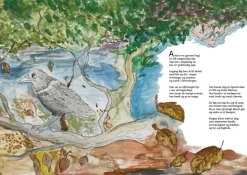 Klippeøens ABC (Bog, Hardback, Dansk) af Amanda Stevne Pihl