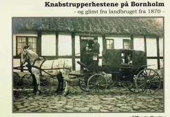 Knabstrupperhestene på Bornholm: og glimt fra landbruget fra 1870