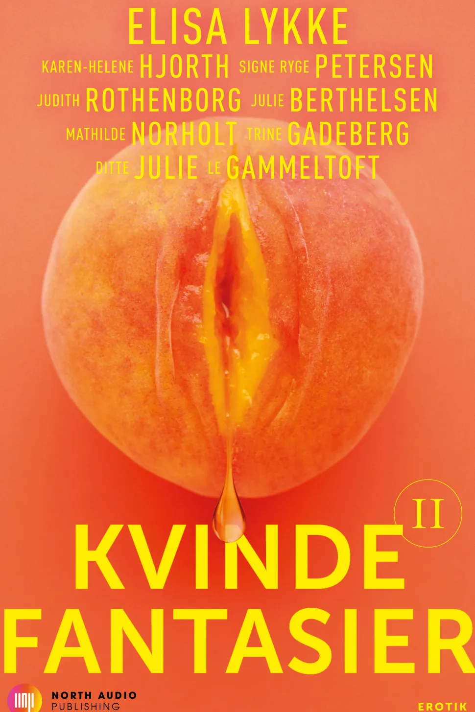 Kvindefantasier II (Ebog, epub, Dansk) af Elisa Lykke