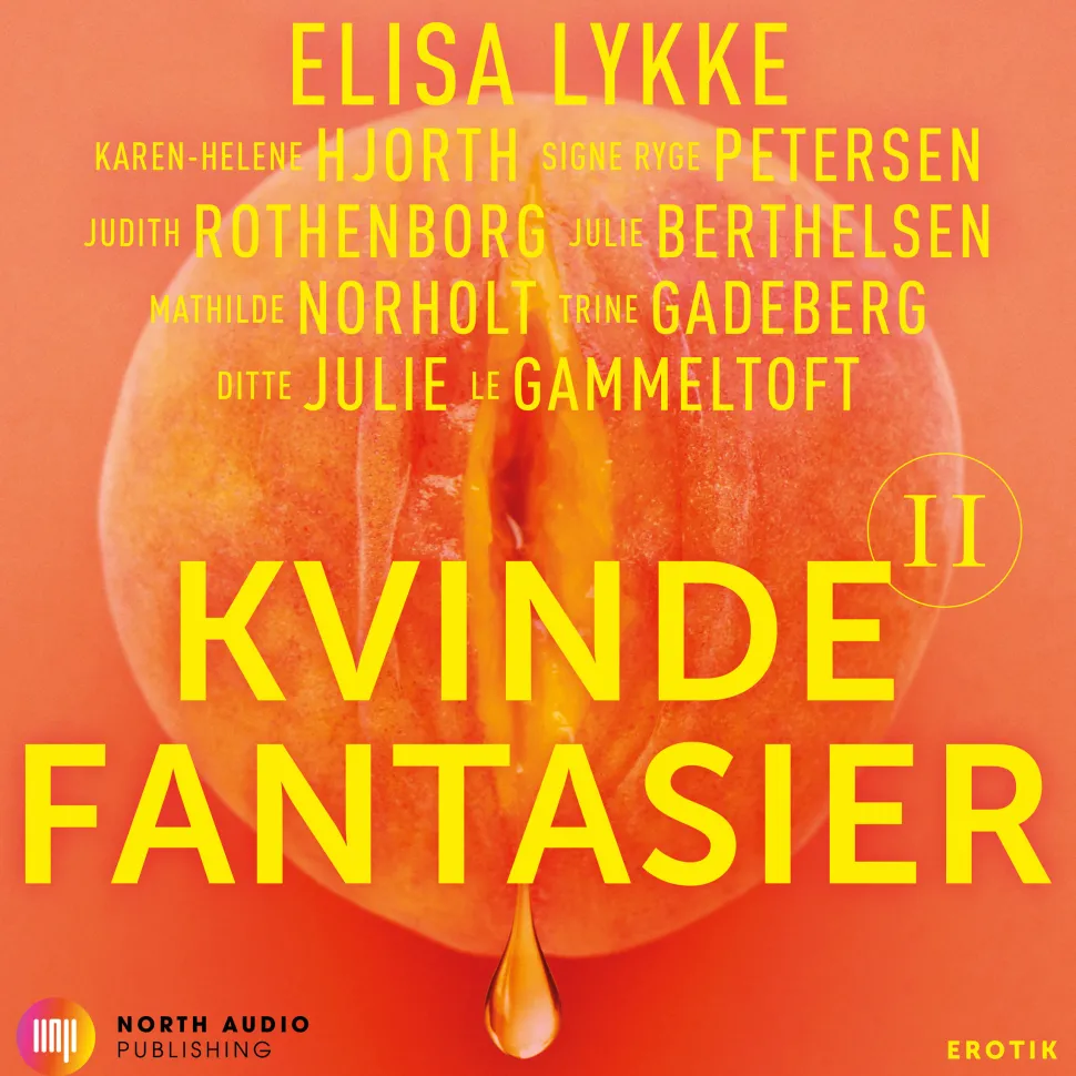 Kvindefantasier II (Lydbog, zip_mp3, Dansk) af Elisa Lykke