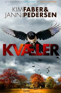 Kvæler (Ebog, epub, Dansk) af Kim Faber