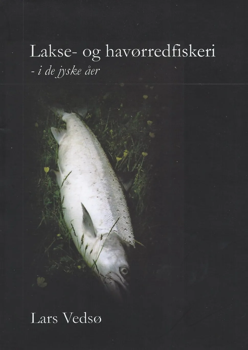 Lakse- og havørredfiskeri - i de jyske åer (Bog, Hardback, Dansk) af Lars Vedsø