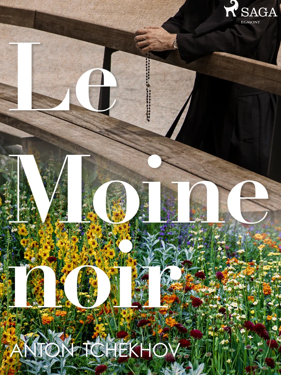 Le Moine noir (Ebog, epub, Fransk) af Anton Tchekhov