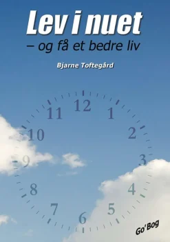Lev i nuet: og få et bedre liv (Ebog, epub, Dansk) af Bjarne Toftegård
