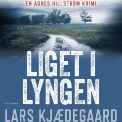 Liget i lyngen: Agnes Hillstrøm 1 (Lydbog, zip_mp3, Dansk) af Lars Kjædegaard
