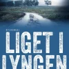 Liget i lyngen: Agnes Hillstrøm 1 (Bog, Hæftet, Dansk) af Lars Kjædegaard