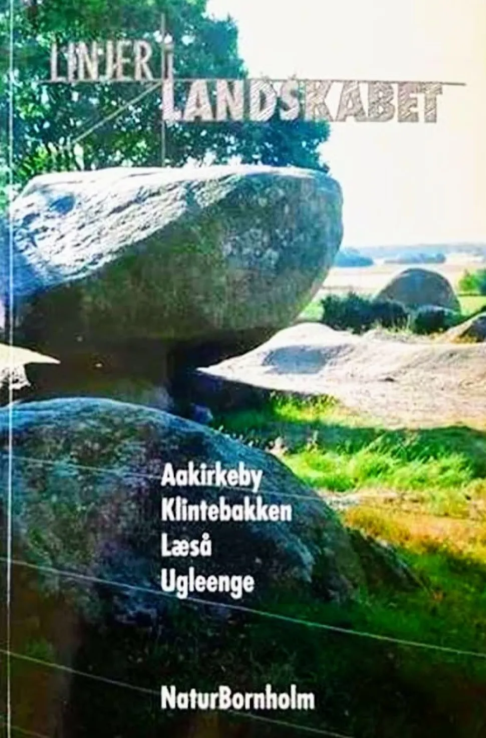 Linjer i Landskabet (Bog, Hæftet, Dansk)