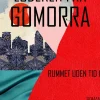 Luderen fra Gomorra (Ebog, epub, Dansk) af Inge Eriksen
