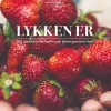 Lykken Er, 500 danskere fortæller om lykken gennem livet (Ebog, epub, Dansk) af Mette Kruse Odderskov