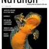 Magasinet Naturen Nr. 1 - 2024 (Bog, Hæftet, Dansk) af Morten Top og Klavs Holm
