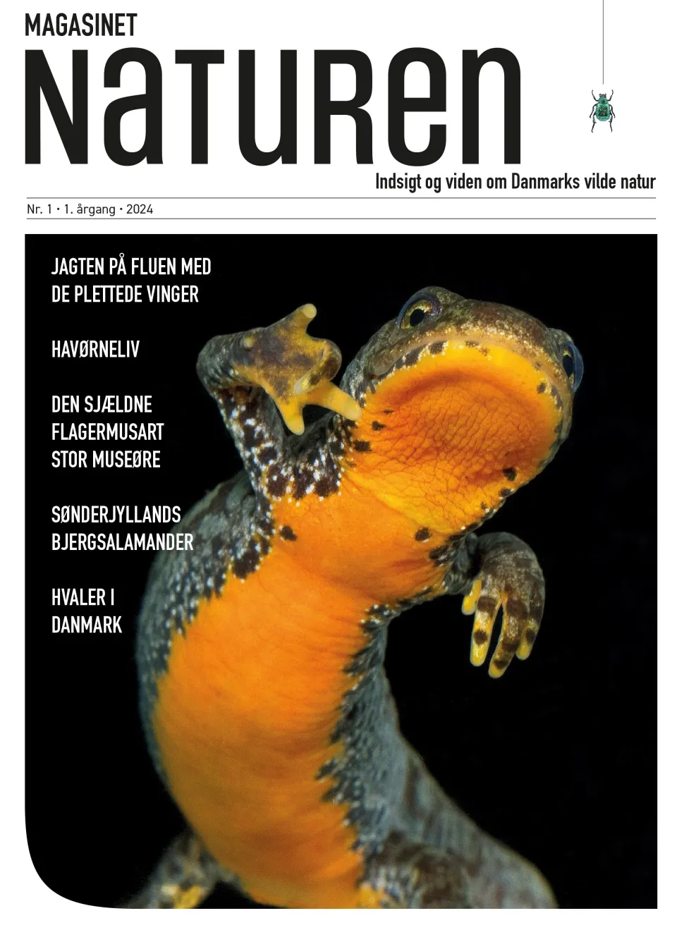 Magasinet Naturen Nr. 1 - 2024 (Bog, Hæftet, Dansk) af Morten Top og Klavs Holm