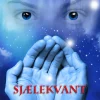 Magerne 1 - Sjælekvant: Sjælekvant (Ebog, epub, Dansk) af Kent Carlson