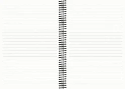Mayland studie originzer & notes 2025/26