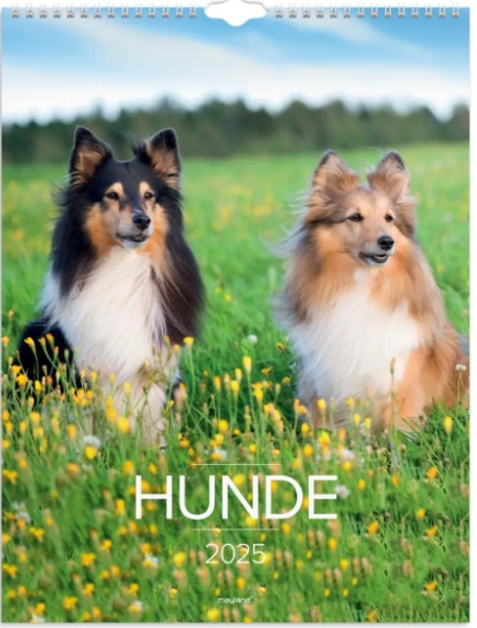 Mayland Vægkalender Hunde 2025