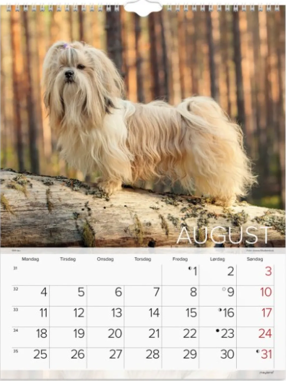 Mayland Vægkalender Hunde 2025