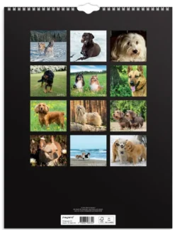 Mayland Vægkalender Hunde 2025