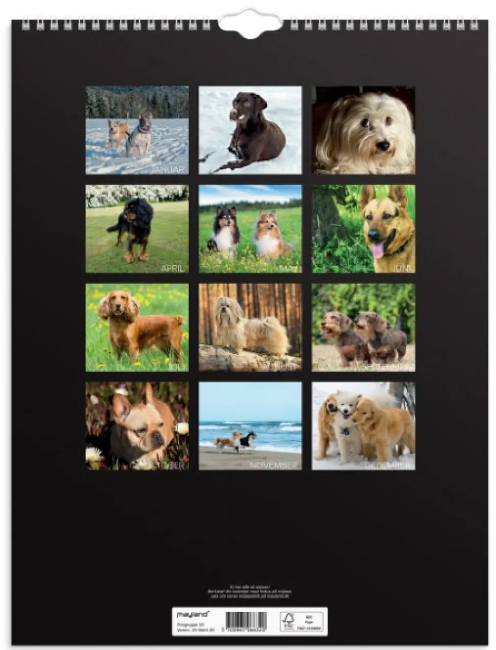 Mayland Vægkalender Hunde 2025