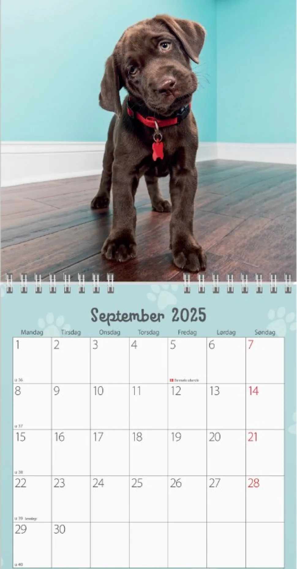 Mayland vægkalender mini Hundehvalpe 2025