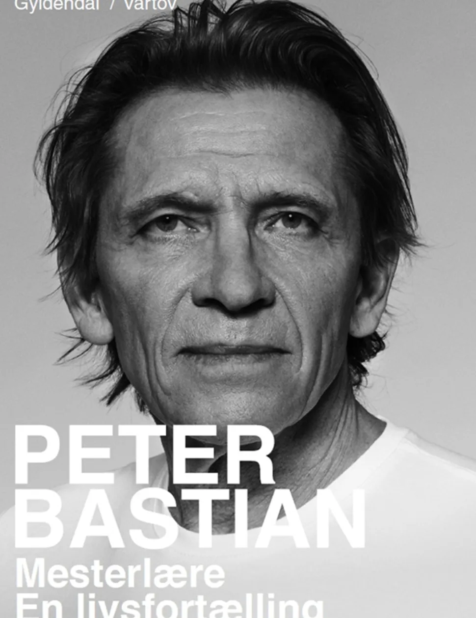Mesterlære: En livsfortælling (Ebog, epub, Dansk) af Peter Bastian