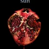 Midnight Sun (Bog, Paperback / softback, Engelsk) af Stephenie Meyer