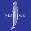 Moby Dick (Bog, Indbundet, Dansk) af Herman Melville