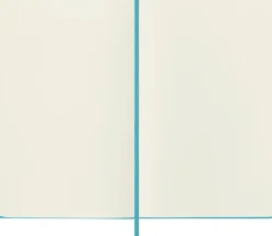 Moleskine: Classic Notebook (Notesbog, Hardcover, The Original, Large, Reef Blue, Plain)