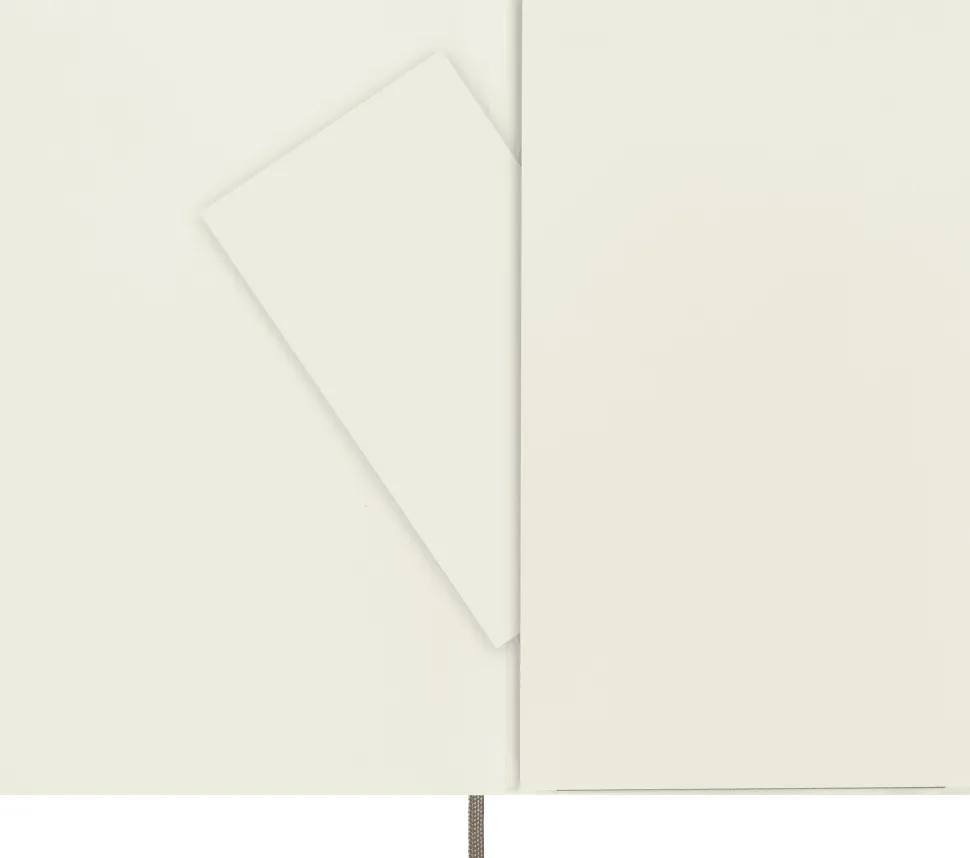Moleskine: Classic Notebook (Notesbog, Softcover, The Original, Large, Earth Brown, Plain)
