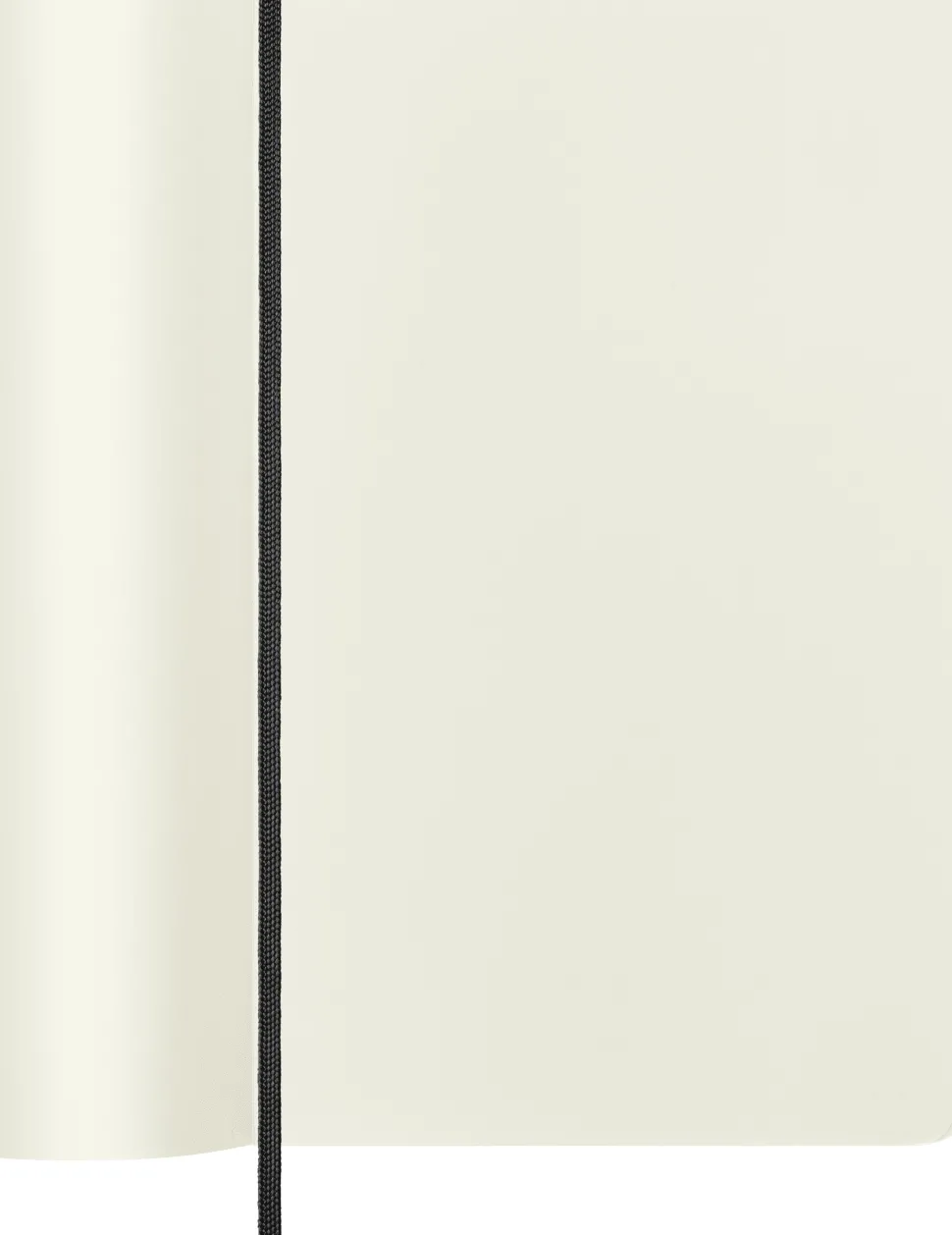 Moleskine: Classic Notebook (Notesbog, Softcover, The Original, Large, Black, Plain)