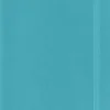 Moleskine: Classic Notebook (Notesbog, Softcover, The Original, Large, Reef Blue, Plain)