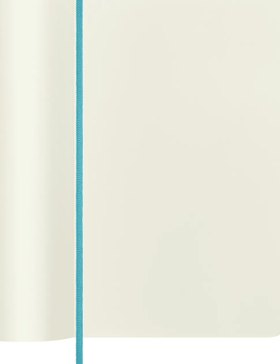 Moleskine: Classic Notebook (Notesbog, Softcover, The Original, Large, Reef Blue, Plain)