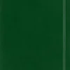 Moleskine: Classic Notebook (Notesbog, Softcover, The Original, XL, Myrtle Green, Ruled)