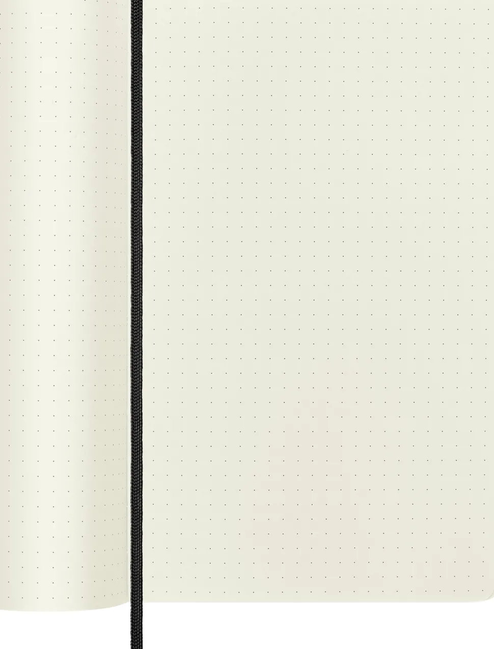 Moleskine: Classic Notebook (Notesbog, Softcover, The Original, Large, Black, Dotted)