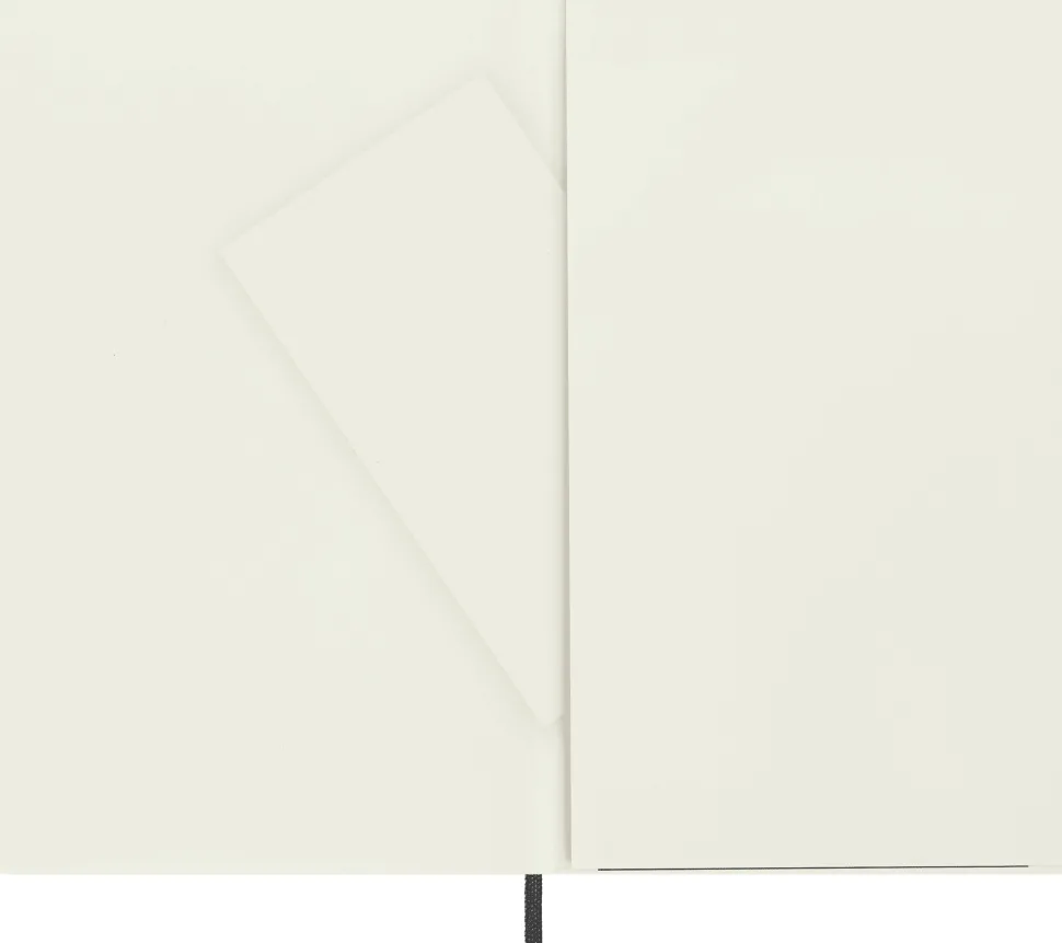 Moleskine: Classic Notebook (Notesbog, Softcover, The Original, Large, Black, Dotted)