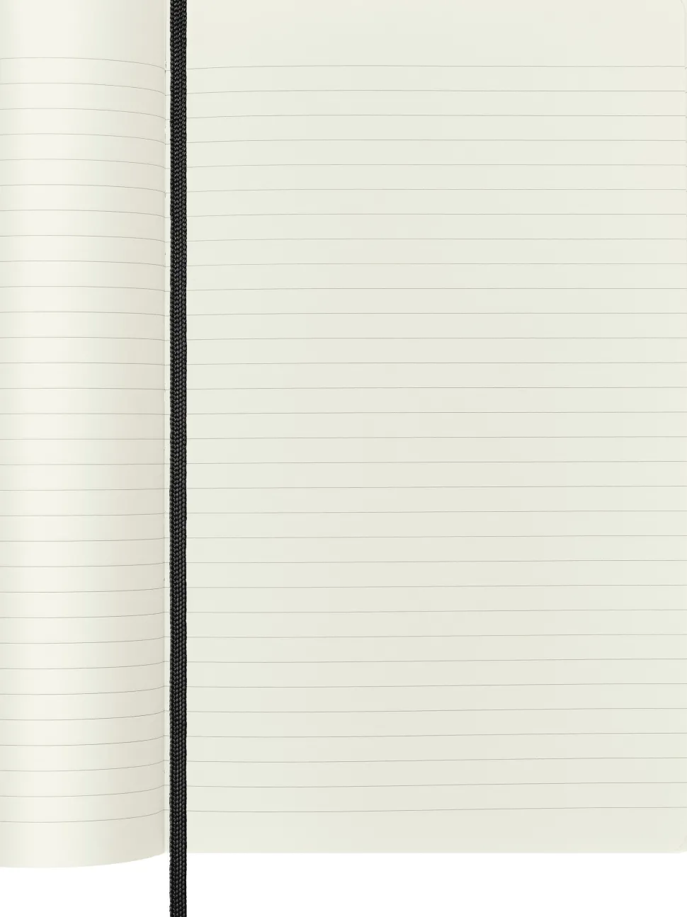 Moleskine: Classic Notebook (Notesbog, Softcover, The Original, Large, Black, Ruled)