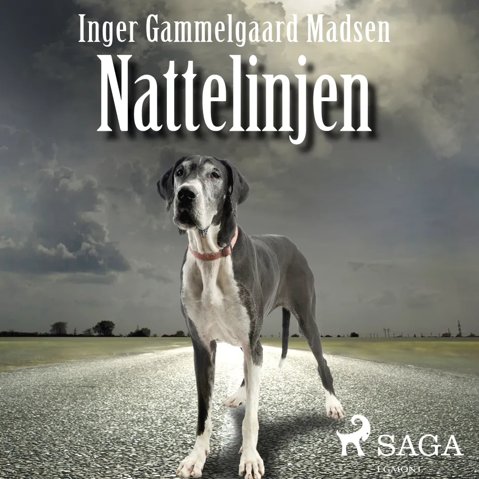 Nattelinjen (Lydbog, zip_mp3, Dansk) af Inger Gammelgaard Madsen
