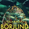 Nattens øje (Bog, Indbundet, Dansk) af Cilla og Rolf Börjlind