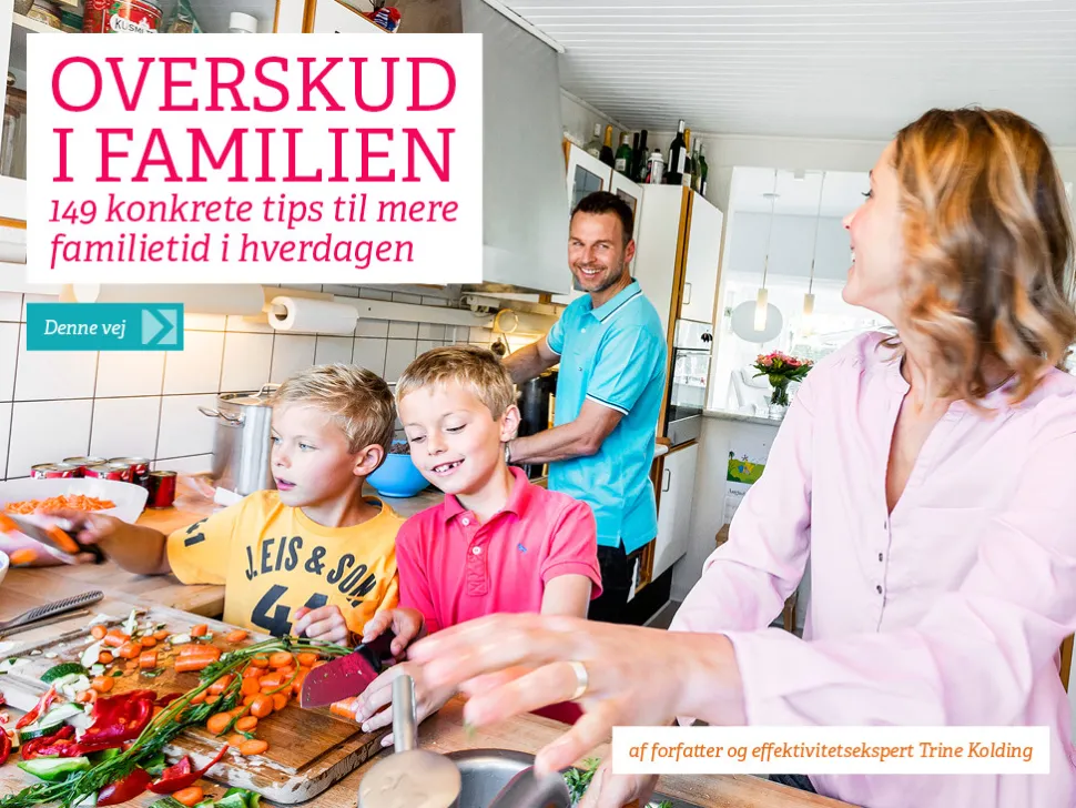 Overskud i familien: - 149 konkrete tips til mere familietid i hverdagen (Ebog, pdf, Dansk) af Trine Kolding