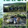 På 367 ture i Bornholms natur (Bog, Hæftet, Dansk) af Finn Hansen