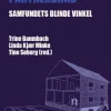 Partnervold og partnerdrab (Hæftet, Dansk) af Trine Baumbach