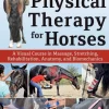 Physical Therapy for Horses: A Visual Course in Massage, Stretching, Rehabilitation, ... (Bog, Hardback, Engelsk)