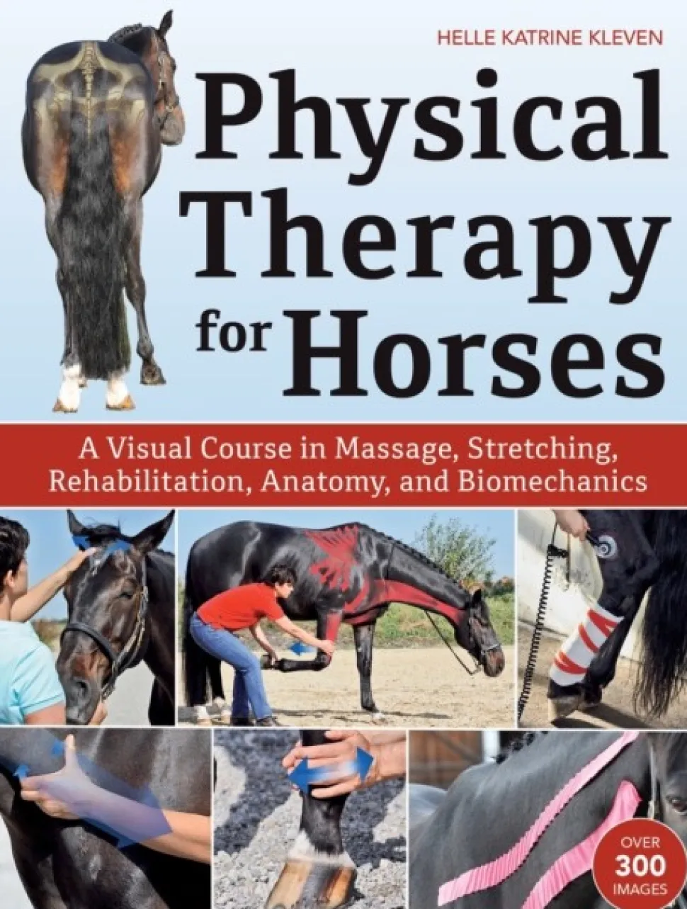 Physical Therapy for Horses: A Visual Course in Massage, Stretching, Rehabilitation, ... (Bog, Hardback, Engelsk)
