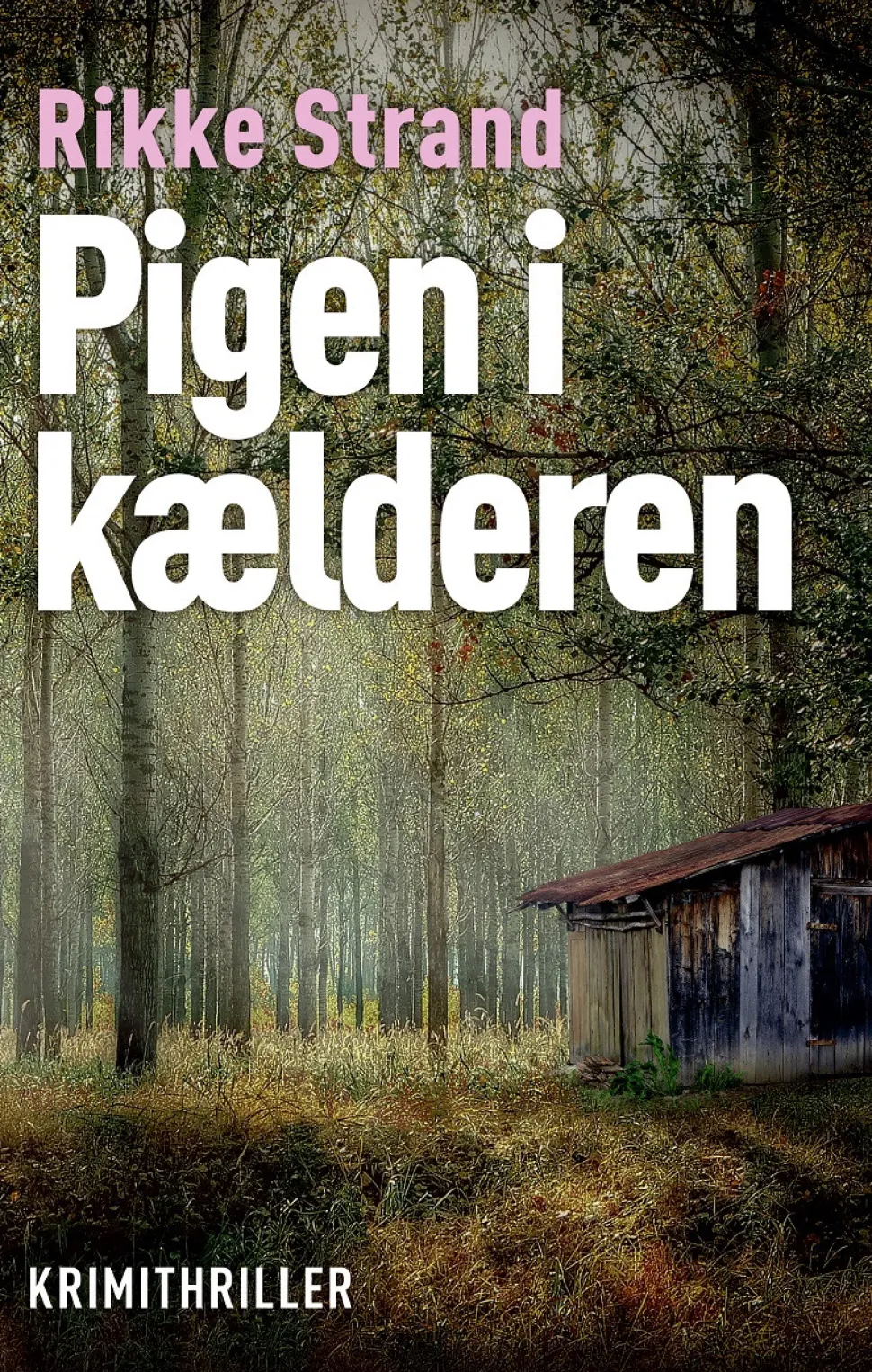 Pigen i kælderen (Ebog, epub, Dansk) af Rikke Strand